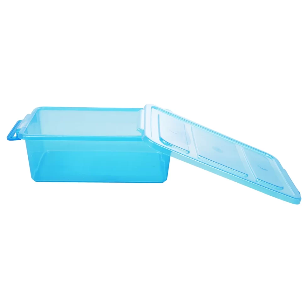 Translucent Plastic Storage Boxes with ClipLock Lids, 8.75x6.125x2.75
